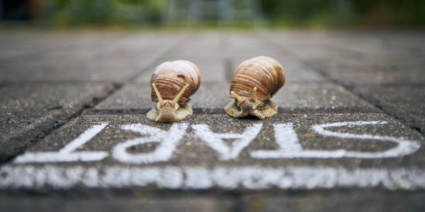 Starting Line with 2 snails going slow.