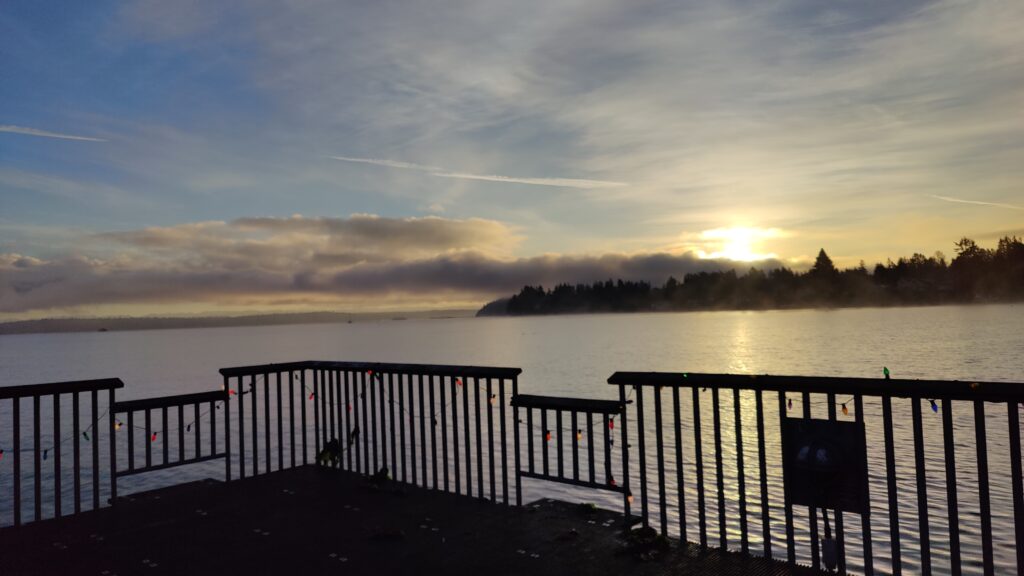 Olympic Mountains seen from Southworth Jan 2025