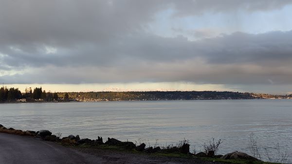 Olympic Mountains seen from Southworth Jan 2025